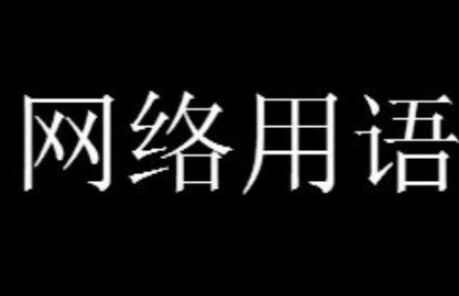 脑腐，盲目跟风的社会现象