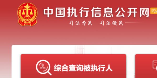 透明政府的数字化窗口，中国公民信息公开网入口