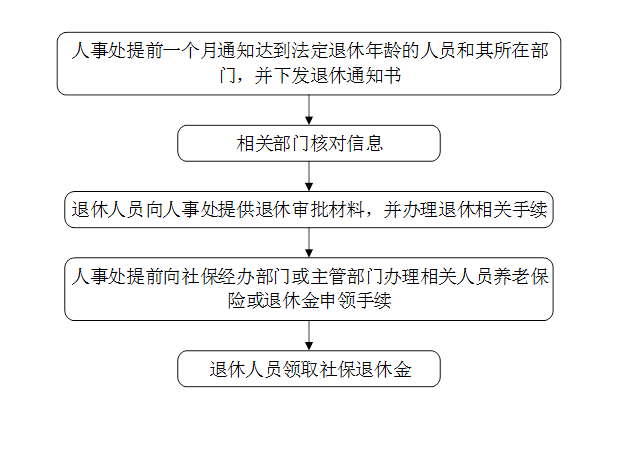 单位职工退休办理全攻略，退休流程与指南