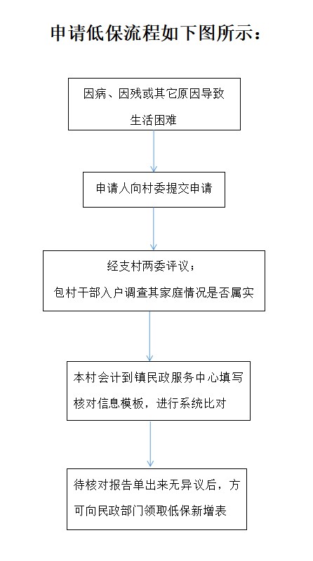 河南低保申请流程全面解析