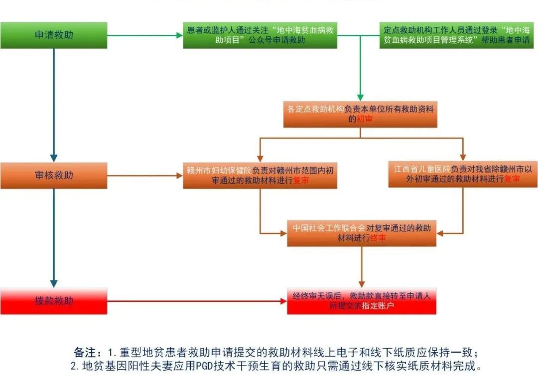 申请救助项目的撰写指南与报告模板