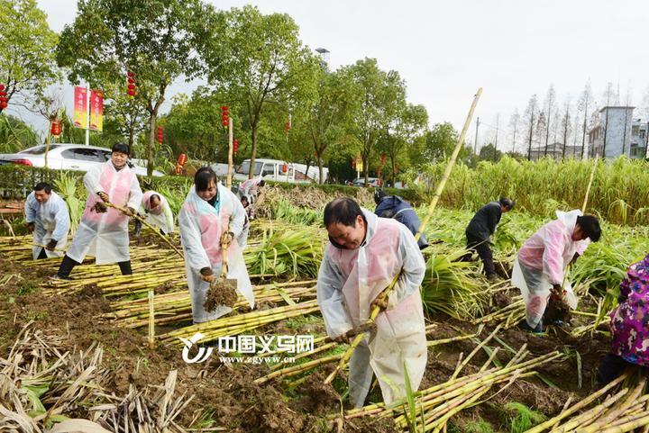 义乌低保户申请条件详解及流程解析