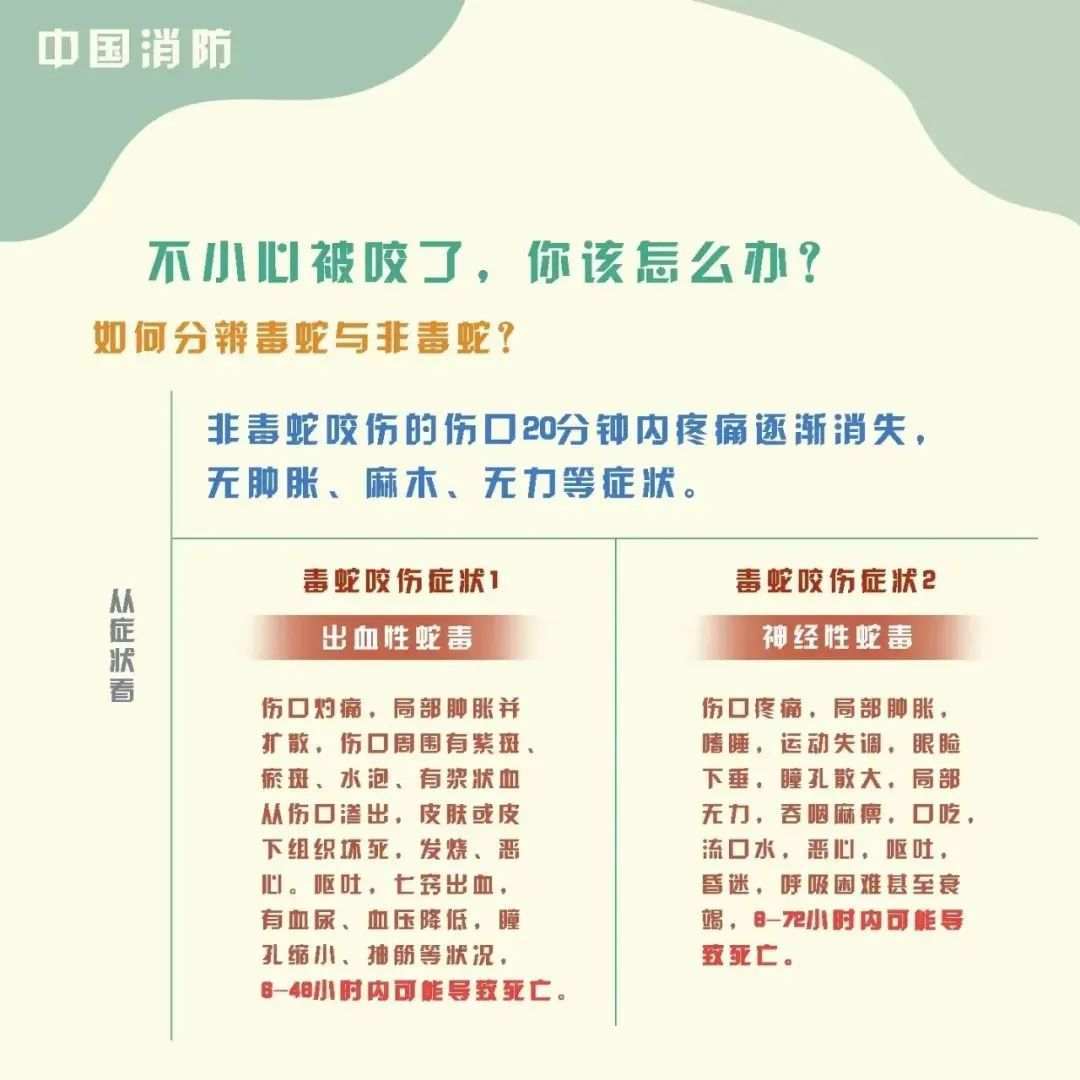 关于临时救助发放时间的探讨，以2021年为观察点