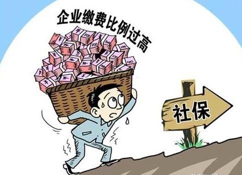 特困人员的社保需求解析，社保政策与个人责任的探讨