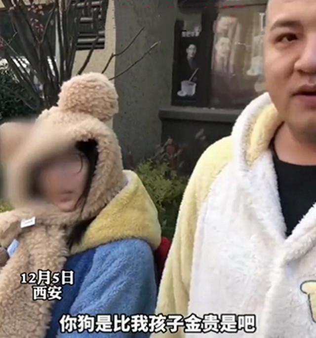 西安大型犬扑咬事件知情人回应