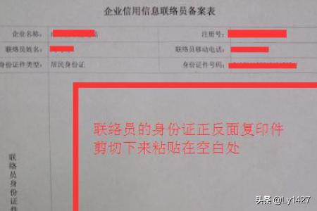 信息公示填写指南，步骤、要点及注意事项详解