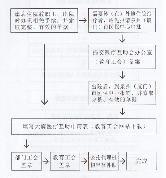 大病救助办理流程全面解析