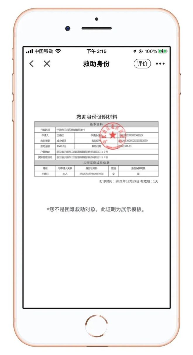 浙江省社会救助申请表范本图片与详细解读指南