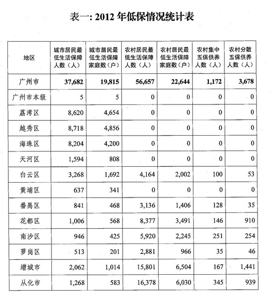 低保数据统计表格，揭示现状与挑战的透视报告