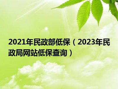 低保官网查询登录入口，一站式保障您的权益了解与使用指南