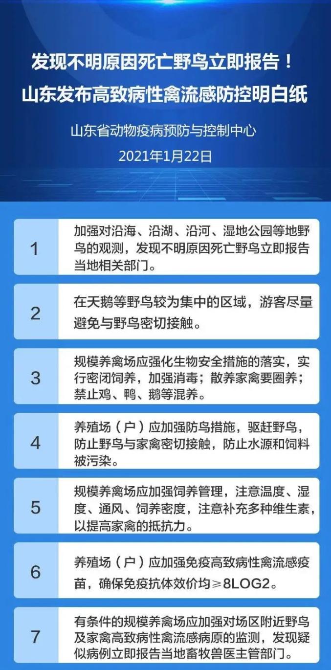 英国禽流感爆发，影响及应对策略