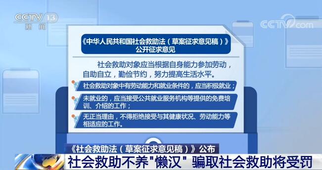 社会救助的条件与需求，深入解析与探讨