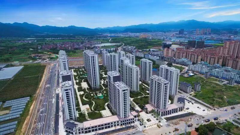 义乌市住房特困户最新动态全面解读