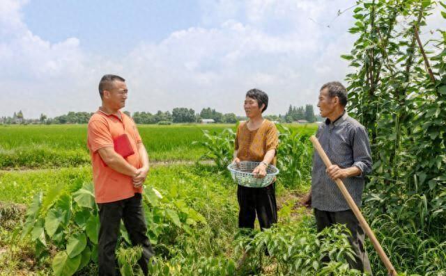 教育救助申请部门与流程详解