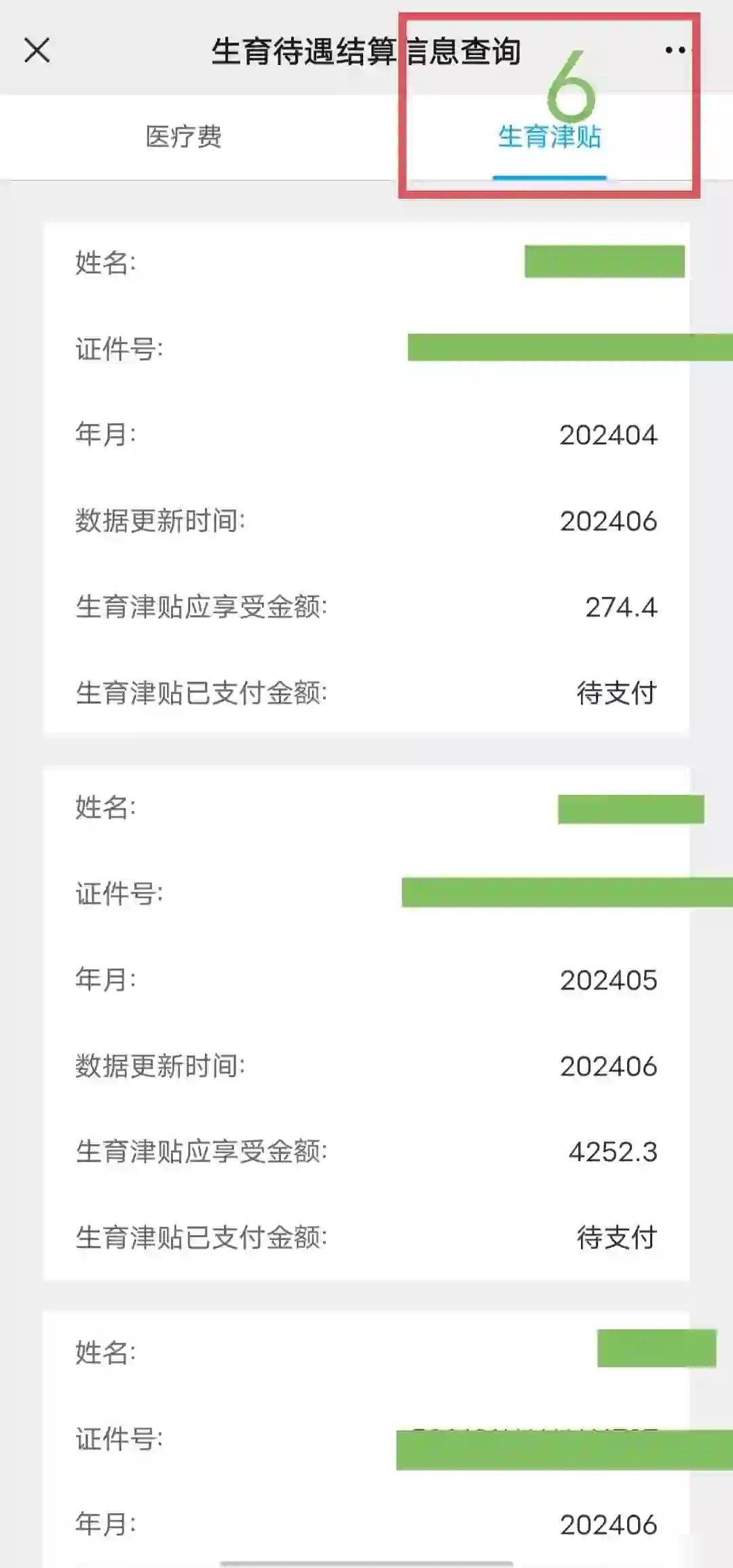 生育津贴发放明细查询，流程、管理与透明度的关键