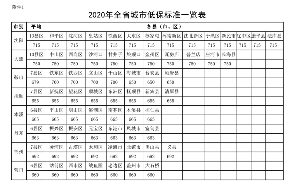 全国低保查询系统，民生保障与透明化管理的关键路径