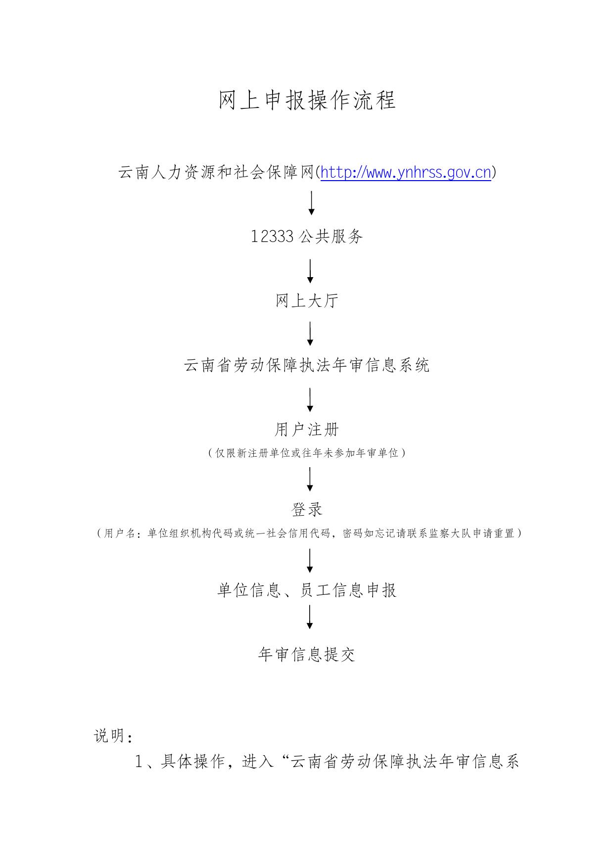 网上申报操作指南，详细步骤解析