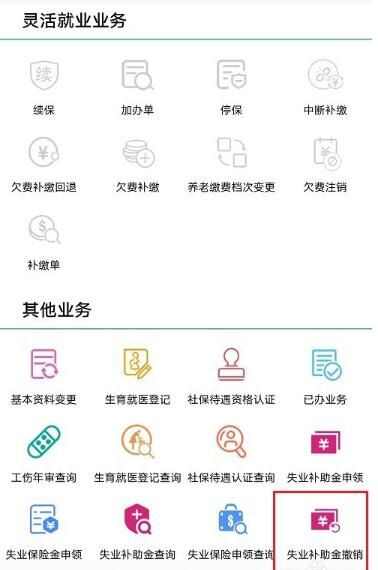 失业补助金审核结果查询攻略，一站式查询指南