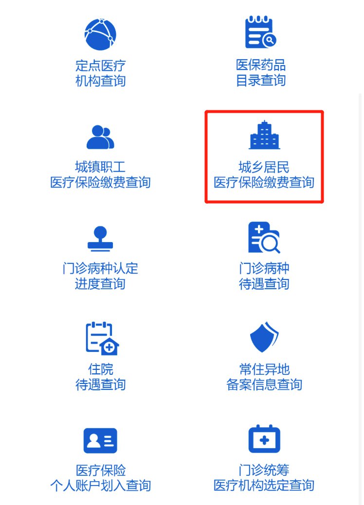 当地医保政策查询指南