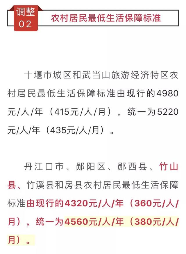 社会保障救助的类型与重要性解析