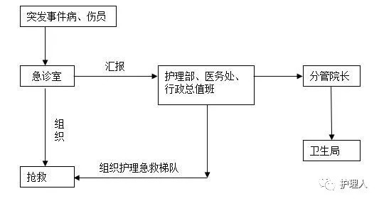 应急救护程序，关键步骤及其重要性概述