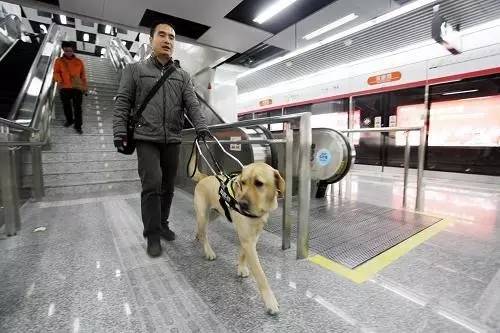 地铁回应老人钻狗洞式过闸进站的事件