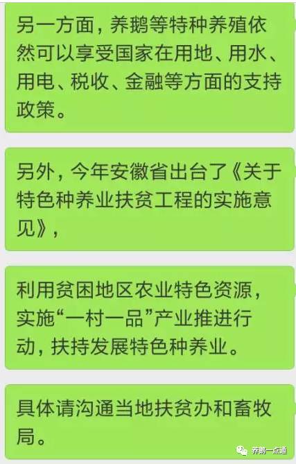 钱塘困境儿童每月补贴金额详解，政策解读与补贴标准概览