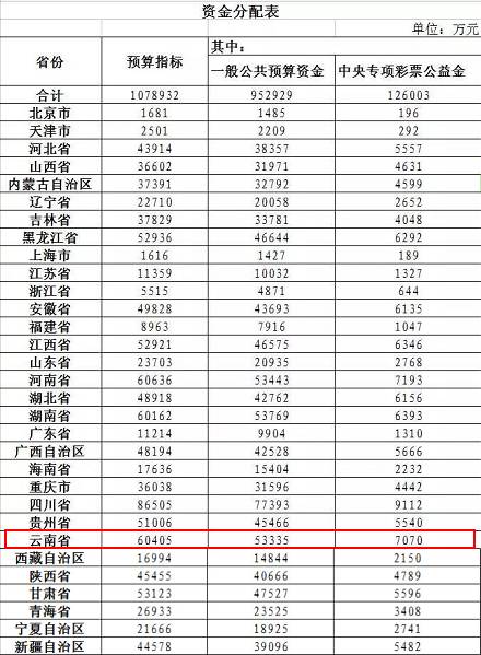 医疗救助金额计算详解，从理解到应用