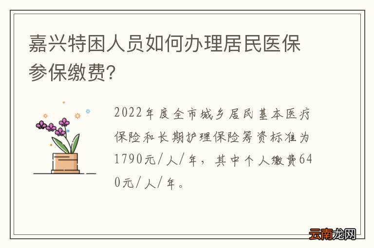 2024年12月12日 第7页