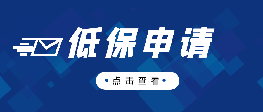 社会救助政策构建安全网，促进社会公平与和谐