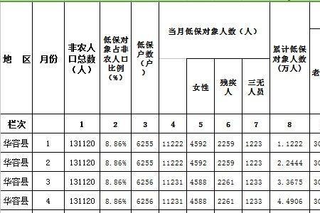 全国低保查询系统，便捷、透明、高效的民生服务新平台