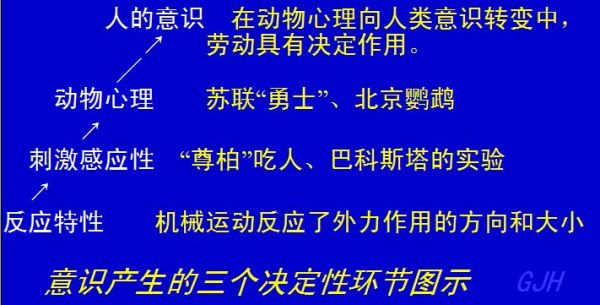 意识的本质，多学科探讨的复杂问题