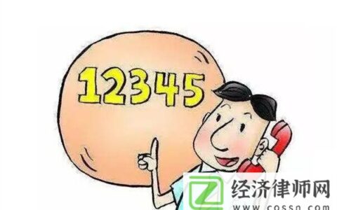 实名打12345的后果，深度探究与解析