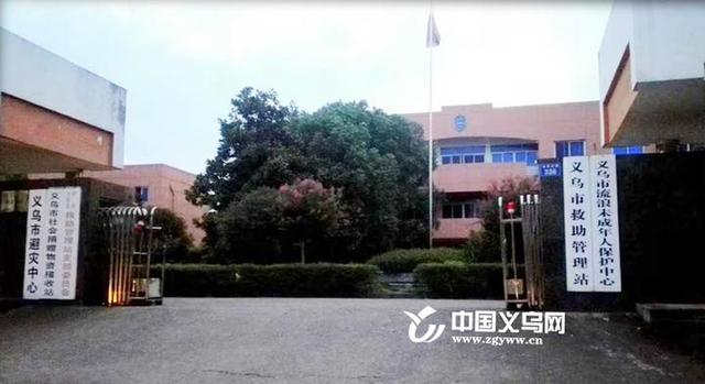 义乌市社会救助中心，构建全方位社会救助网络，传递温暖与关怀