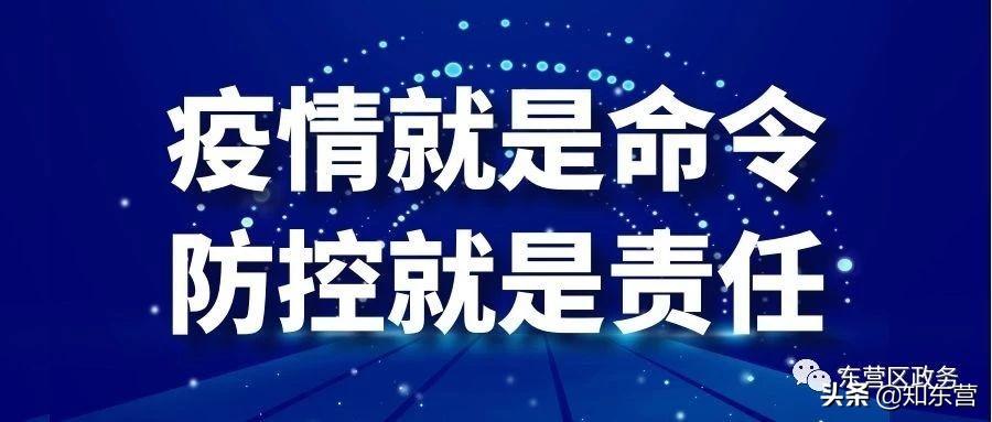 救助比例与报销比例解析，差异与关联探讨