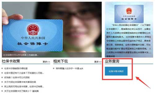 全面指南，如何查询社保卡制卡进度