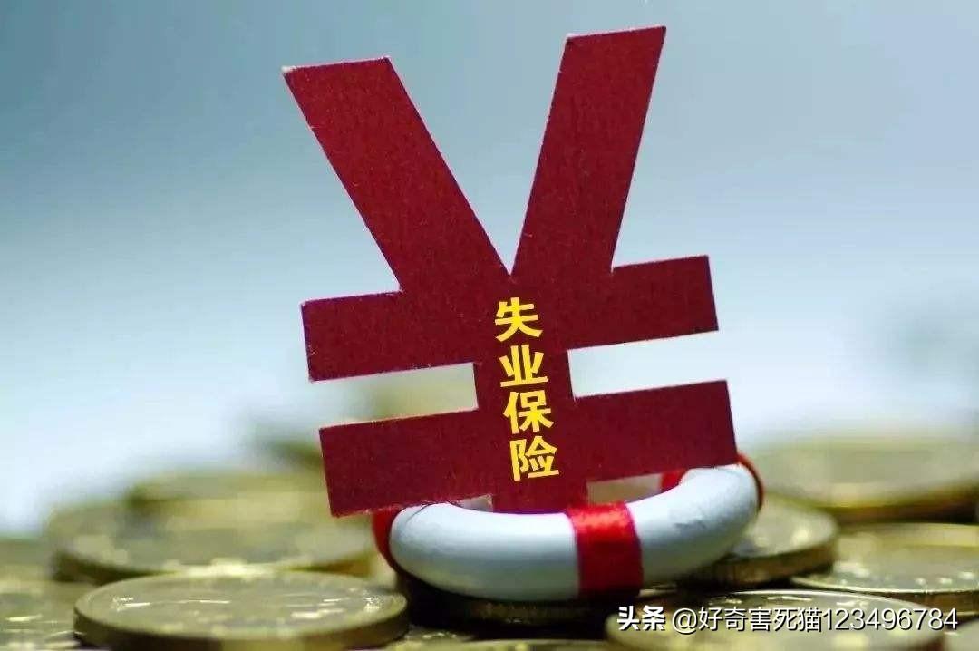 失业补助金领取进度查询指南