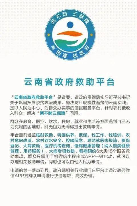 云南省人民政府救助平台，构建安全网，助力民生保障行动