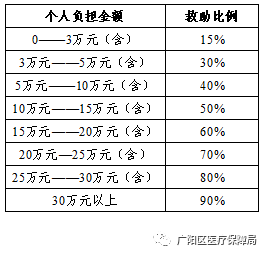 救助比例计算方法及其应用解析