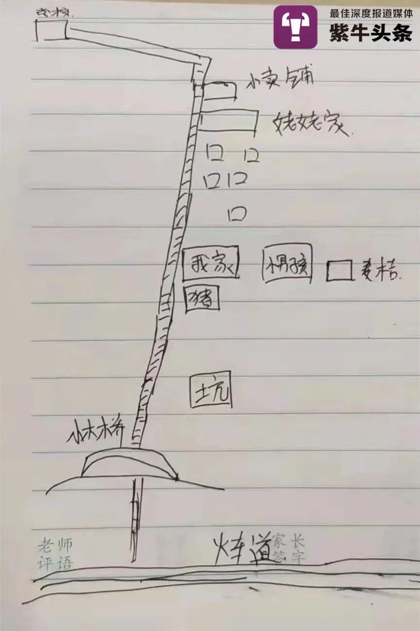 杨妞花回应小学文凭出书质疑