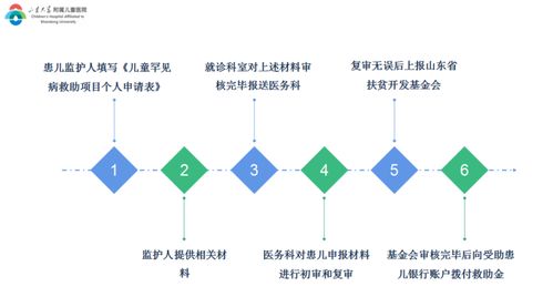 救助资金发放流程详解与实践探索