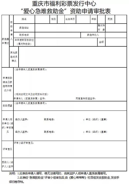 低保表格，理解与应用指南