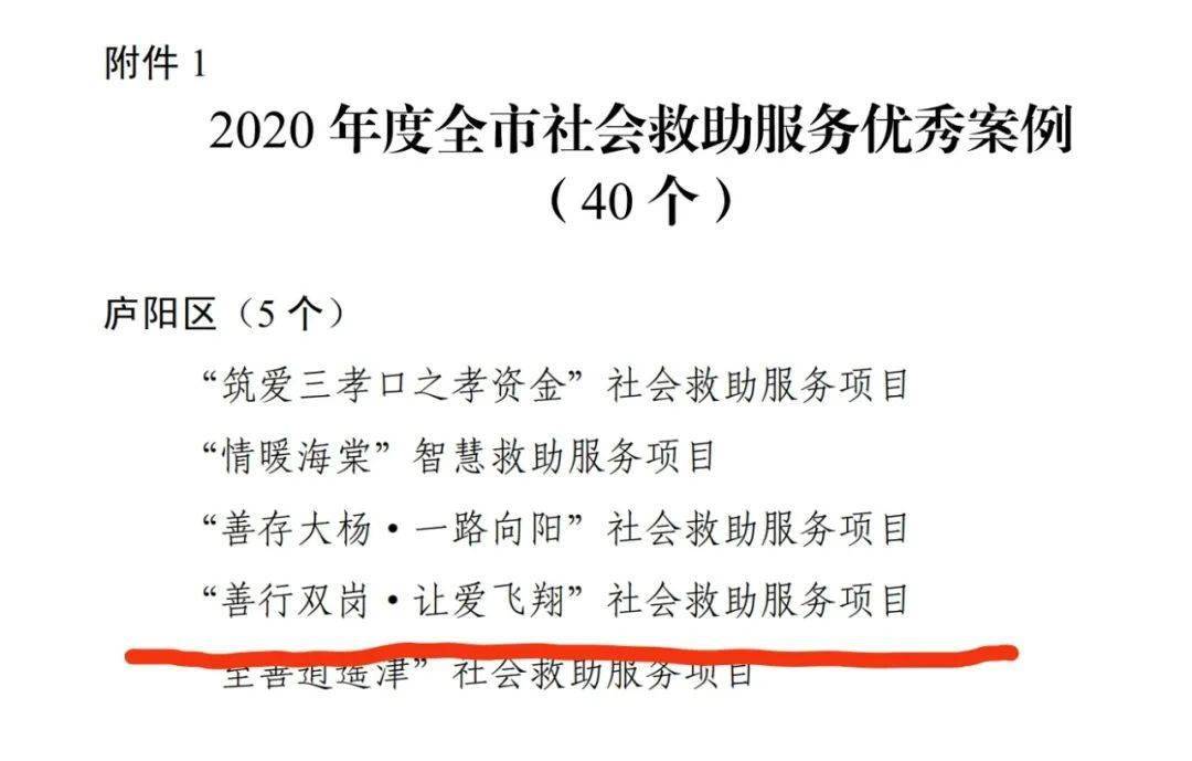 社会救助成功案例研究，探索有效救助模式及其启示