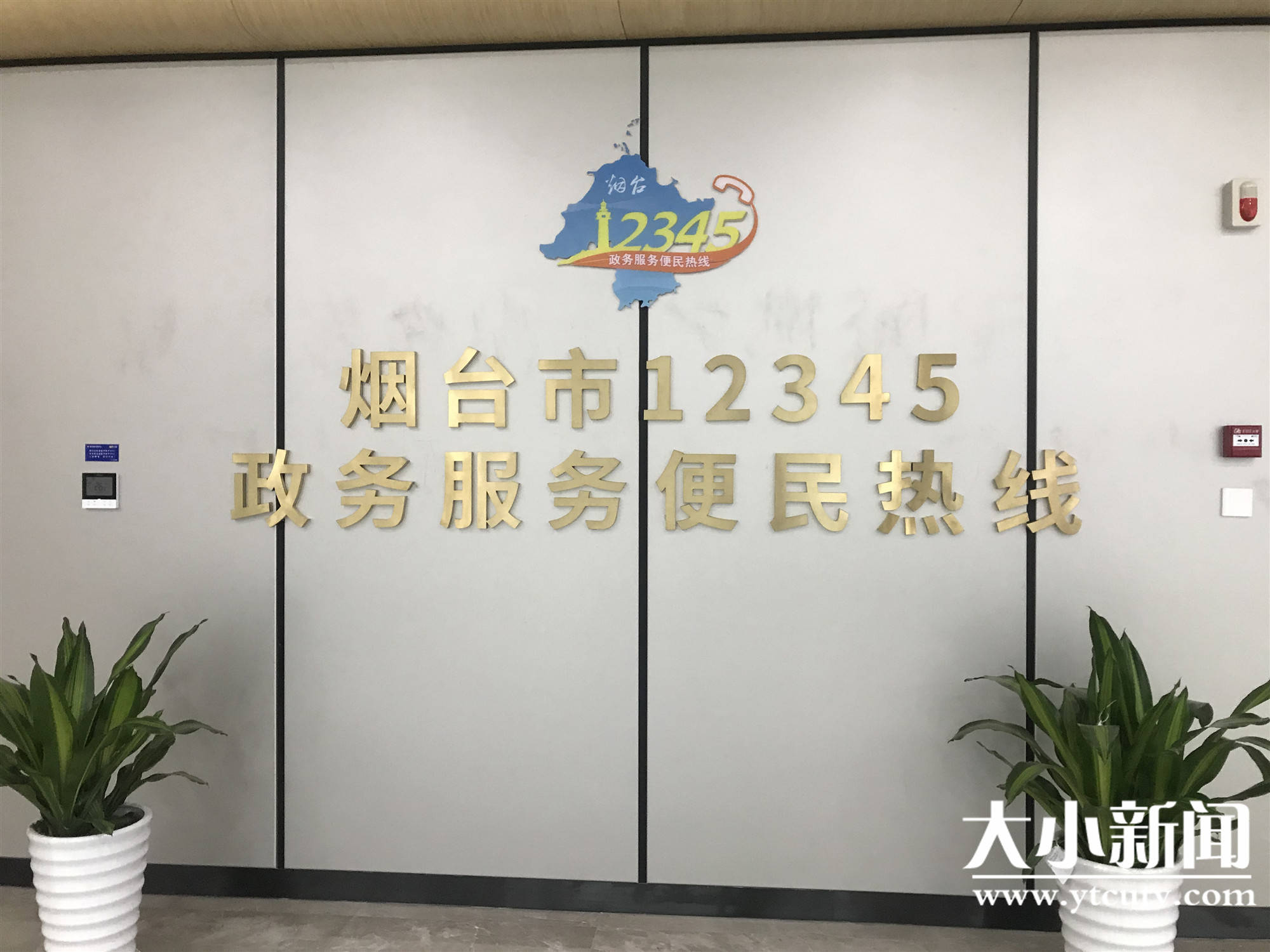 青岛12345诉求进度查询，便捷服务，为民解忧平台