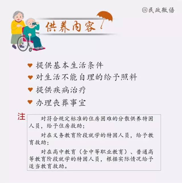 特困人员申请全面指南，步骤与流程解析