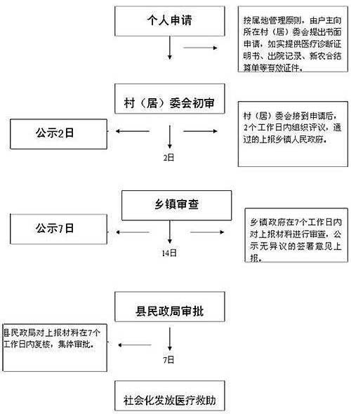 教育救助流程详解，申请撰写及操作指南