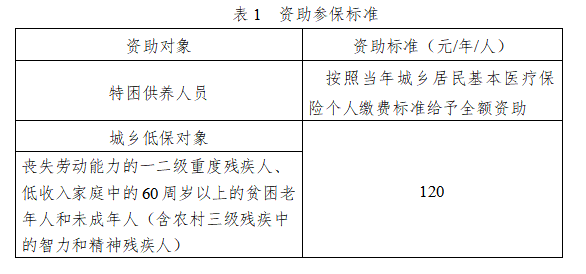 依申请救助标准构建公正、可持续社会救助体系