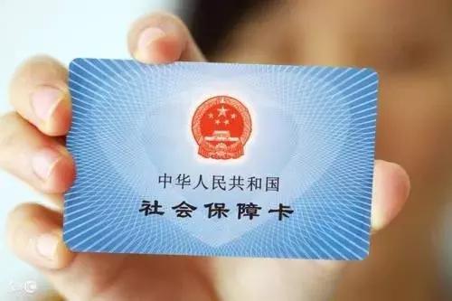 失业金申请状态查询指南，如何确认申请成功？