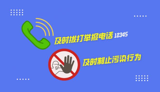 数字世界的奥秘与力量，解答疑惑，探索未知