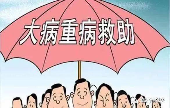 救助项目概述与多样性解析